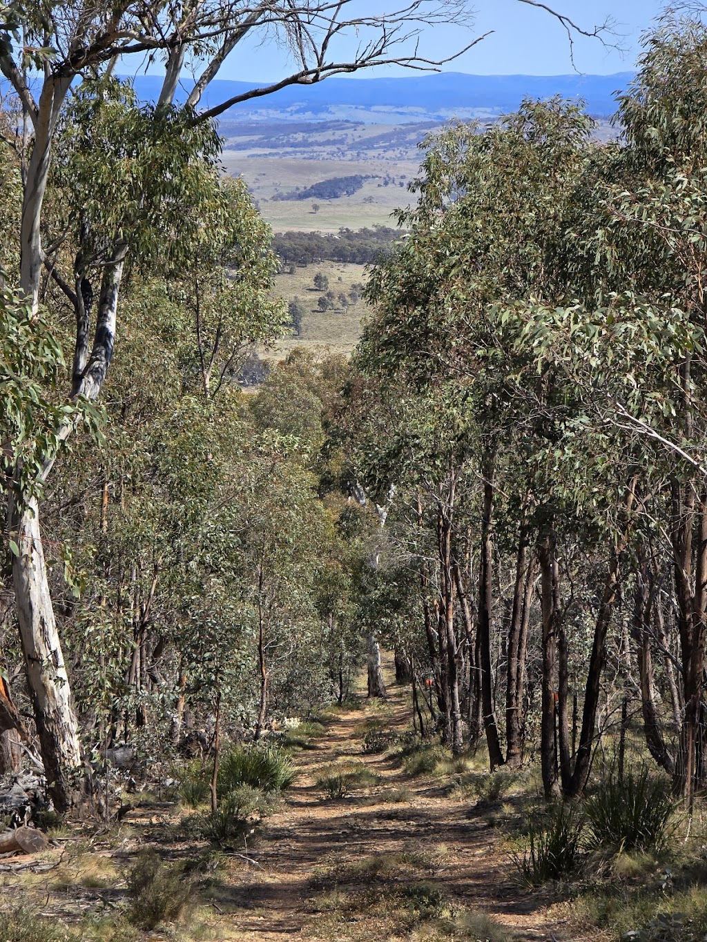 Serenus Hill | 2700 Shannons Flat Rd, Shannons Flat NSW 2630, Australia | Phone: 0416 027 970