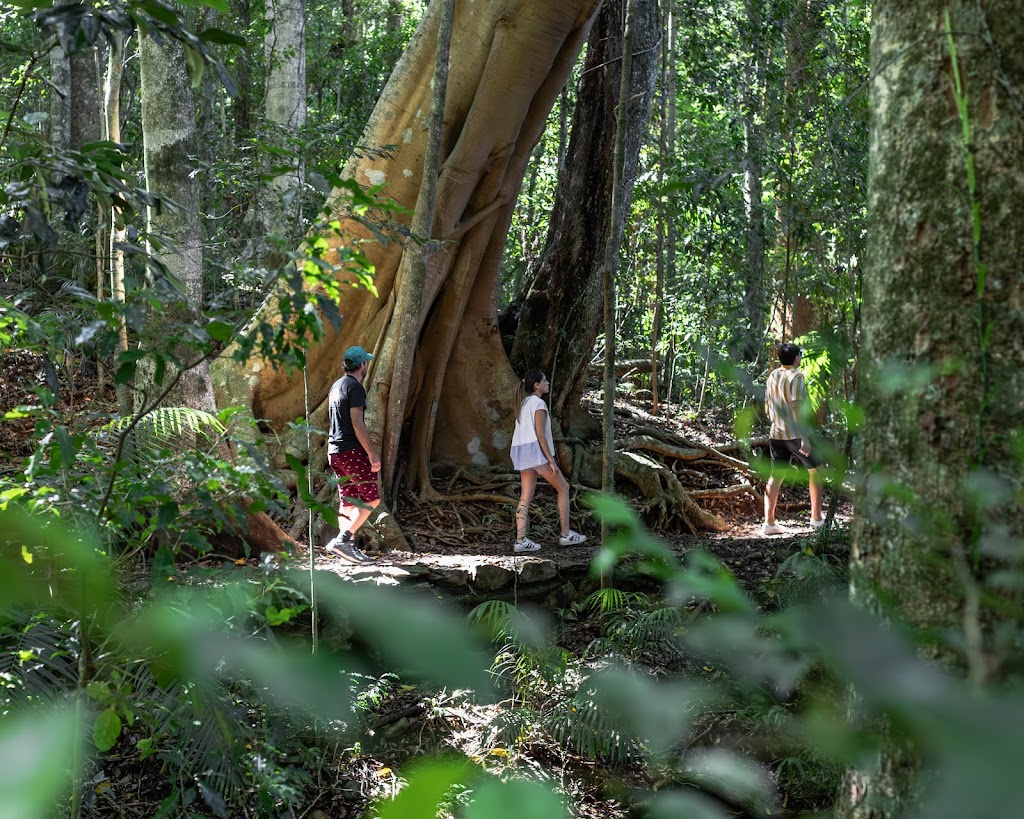 Brisbane Mountain Tours | Unit 1/1863 Mount Nebo Rd, Mount Nebo QLD 4520, Australia | Phone: 0487 986 877