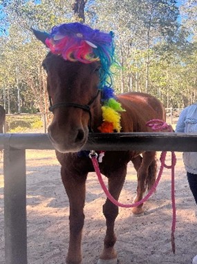 Deeper Soul Connections | 59-65 Teviot Rd, Carbrook QLD 4130, Australia | Phone: 0421 486 709