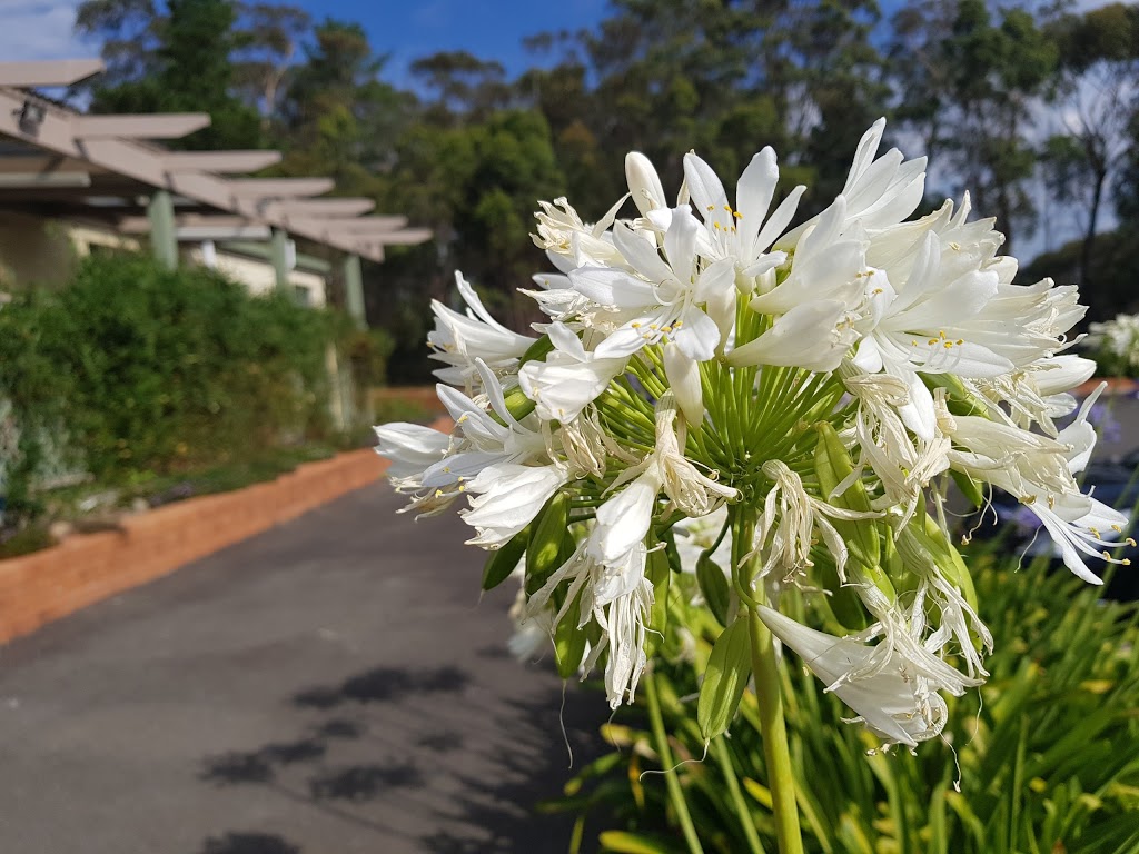 Yerrinbool Bahá’í Centre of Learning |  | 27 Sierra St, Yerrinbool NSW 2575, Australia | 0248839462 OR +61 2 4883 9462