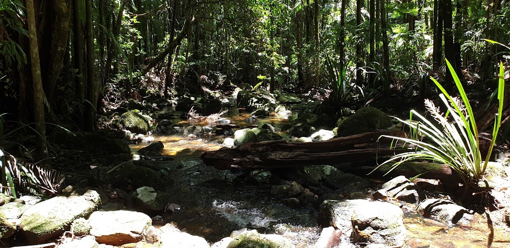 Minyon Falls walking track | tourist attraction | Minyon Loop W, Whian Whian NSW 2480, Australia | 0266270200 OR +61 2 6627 0200