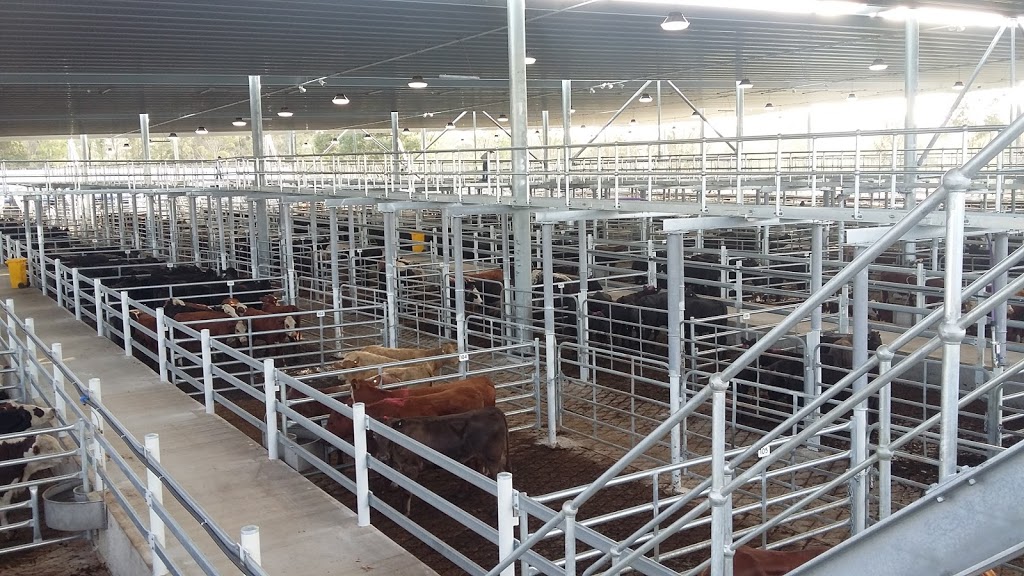 Hunter Regional Livestock Exchange - HRLX | 56 Gresford Rd, Clydesdale NSW 2330, Australia | Phone: 0436 928 063