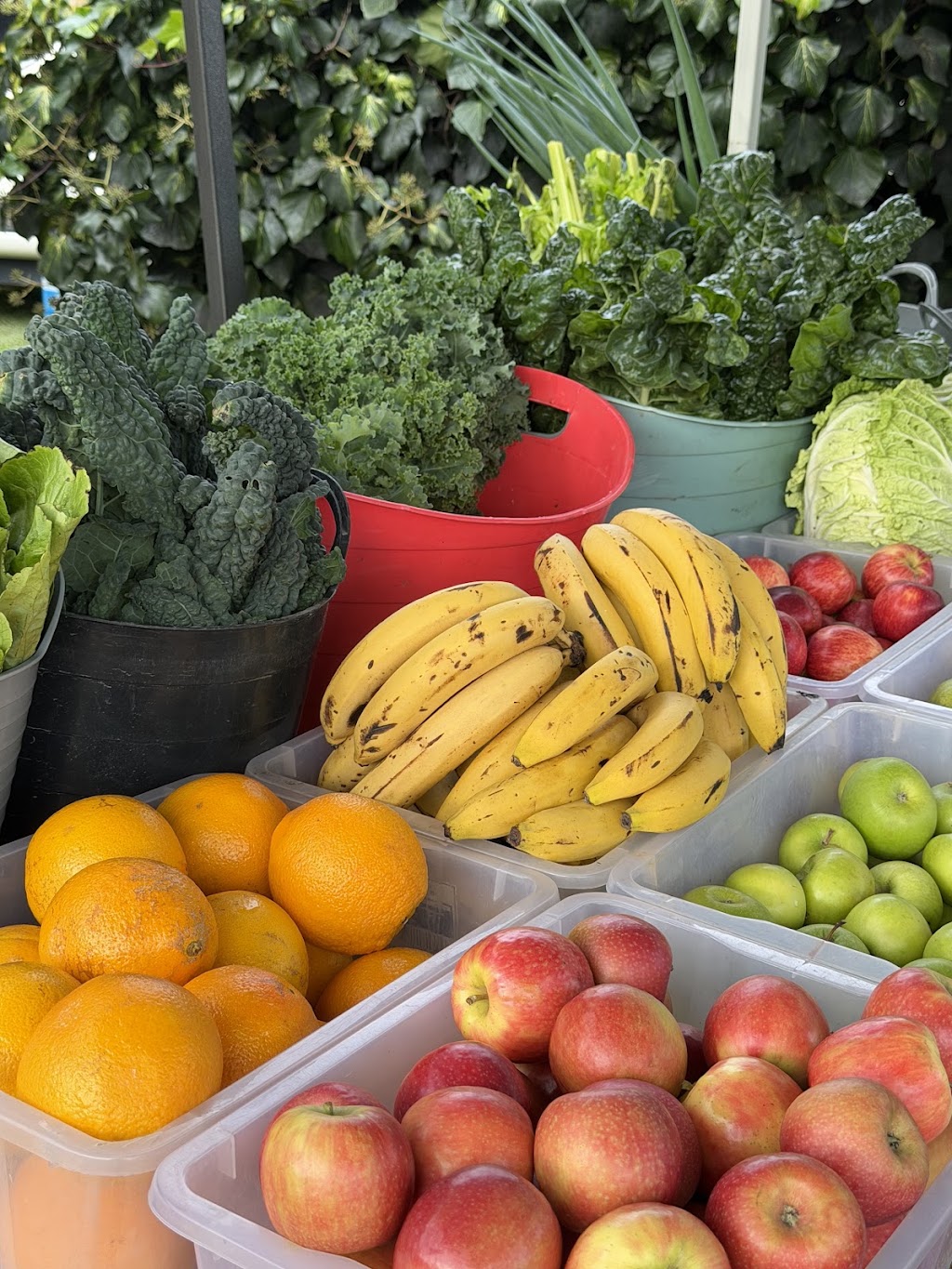 Strong Organics | 131 Millbank Rd, Terara NSW 2540, Australia | Phone: 0402 882 785