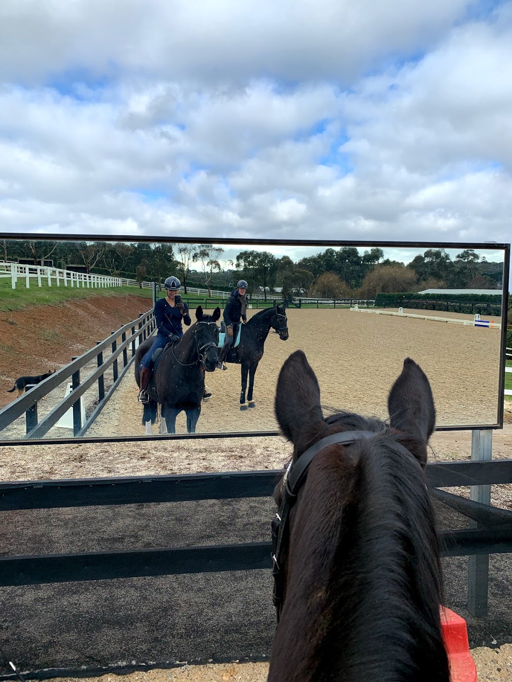 Red Hill Equestrian | 356 Shands Rd, Main Ridge VIC 3928, Australia | Phone: 0439 688 654