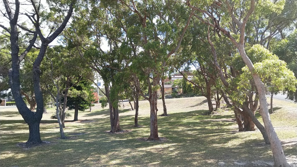 Shoal Bay On-Lead Dog Exercise Area | park | 72 Ronald Ave, Shoal Bay NSW 2315, Australia