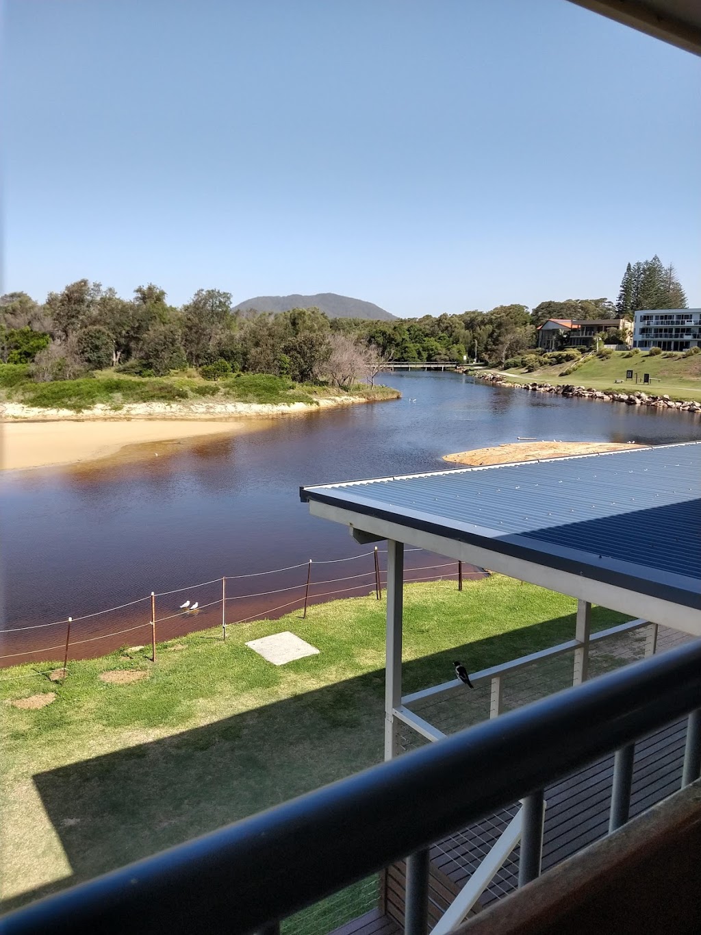 South West Rocks Surf Lifesaving Club | restaurant | 1 Livingstone St, South West Rocks NSW 2431, Australia | 0265666590 OR +61 2 6566 6590