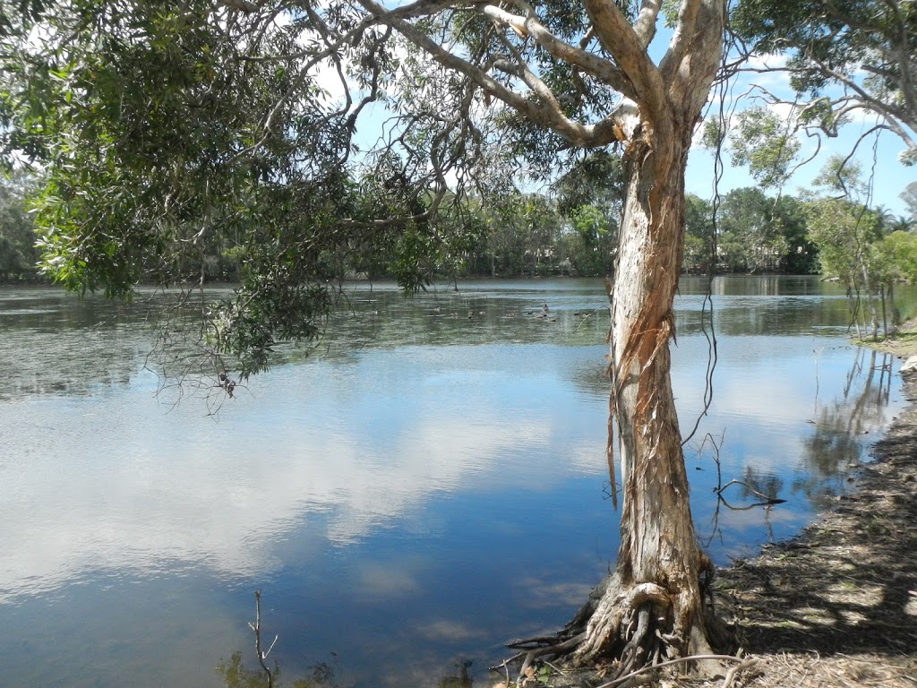 Black Swan Lake | 3/6/8 Gold Market Dr, Bundall QLD 4217, Australia