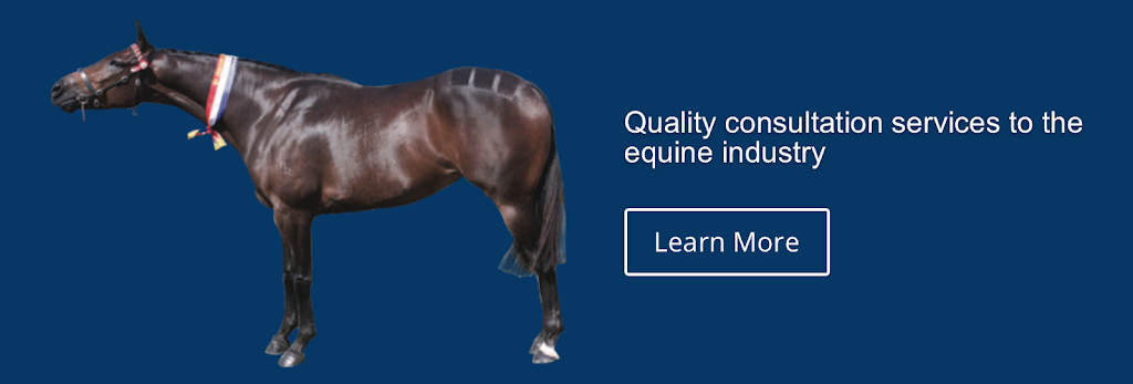 Mobile Equine Veterinary Services | veterinary care | Stern Rd, Carbrook QLD 4130, Australia | 0400280094 OR +61 400 280 094