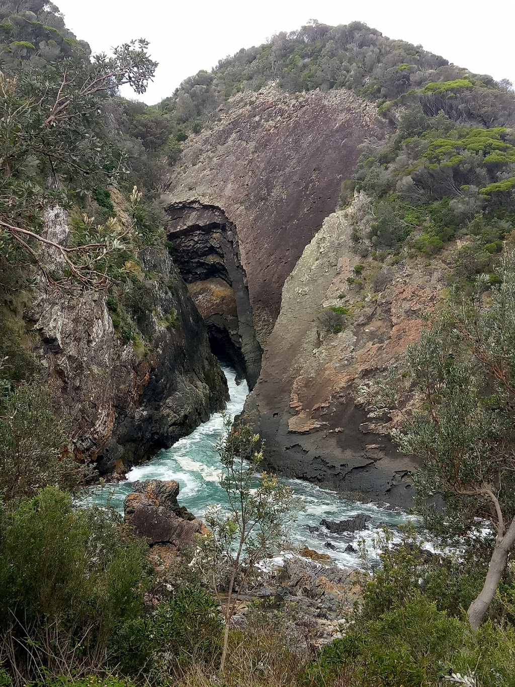 Myall Lakes National Park | Tickerabil Trail, Mungo Brush NSW 2423, Australia | Phone: (02) 6591 0300