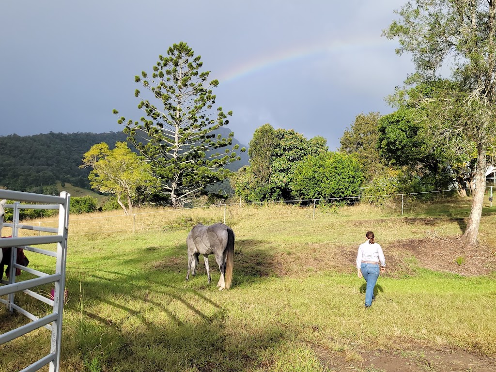 Sabrina Stephens Equine Assisted Therapy | 3434 Kerry Rd, Darlington QLD 4285, Australia | Phone: 0413 760 263