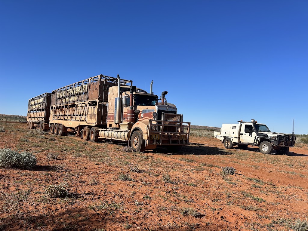 Callo’s Mechanical | Warrego Hwy, Dulacca QLD 4425, Australia | Phone: 0423 620 198