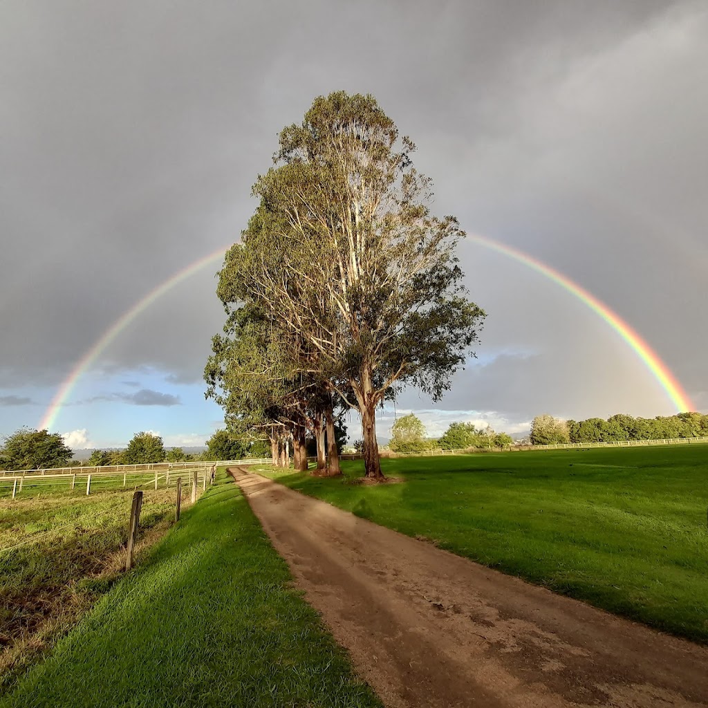 Kerlin Farm | 97 Lupton Rd, Beaudesert QLD 4285, Australia | Phone: 0407 140 542