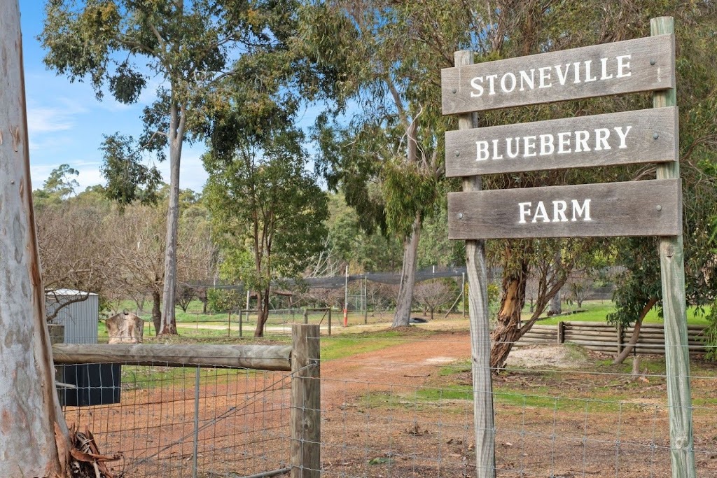 Stoneville Blueberry Farm | 240 Blue Wren Pl, Stoneville WA 6081, Australia | Phone: (08) 9295 0767