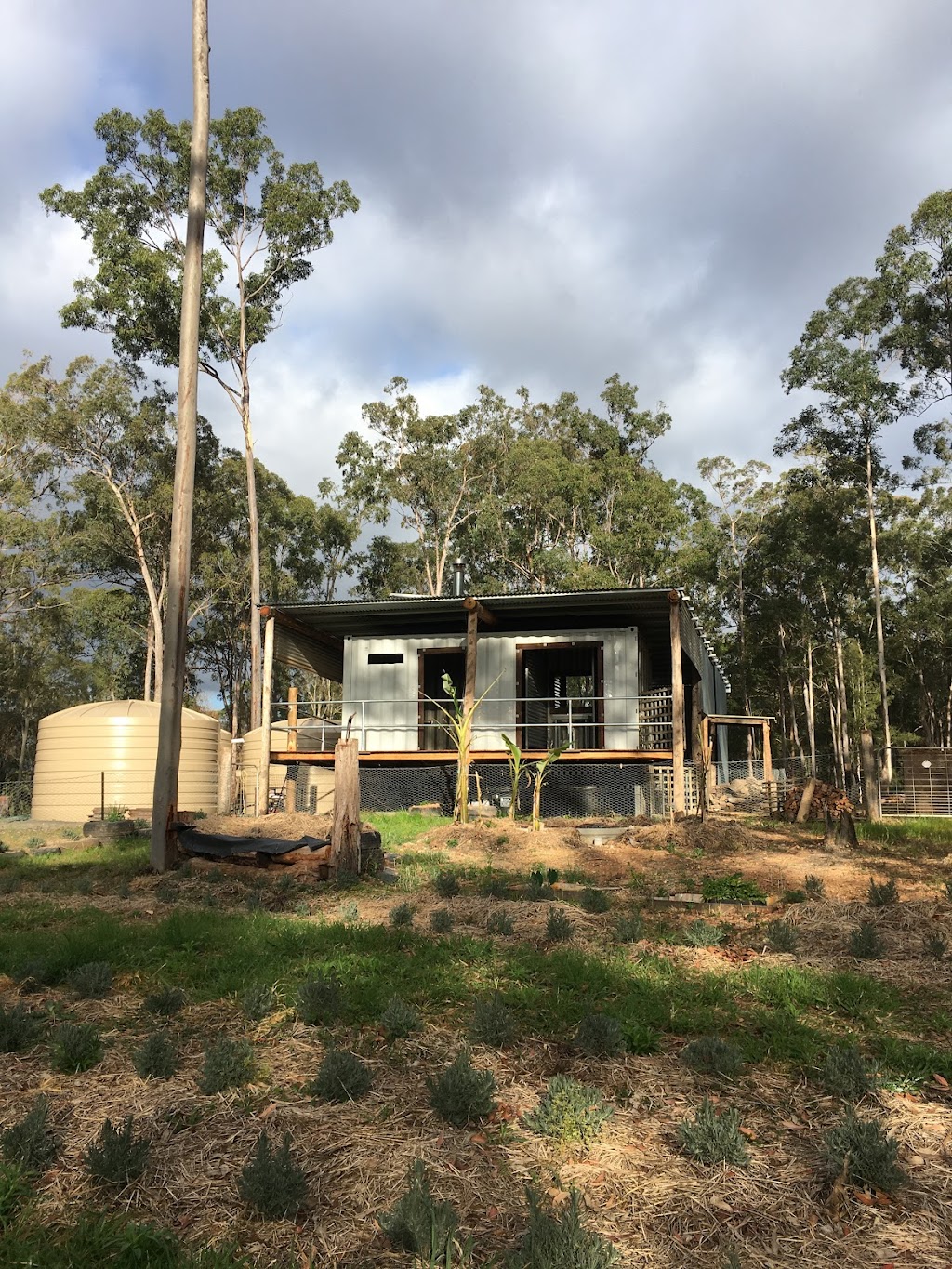 Luckys Ridge Ecocampgrounds | campground | 1505 Paddys Flat Rd, Tabulam NSW 2469, Australia | 0401947789 OR +61 401 947 789