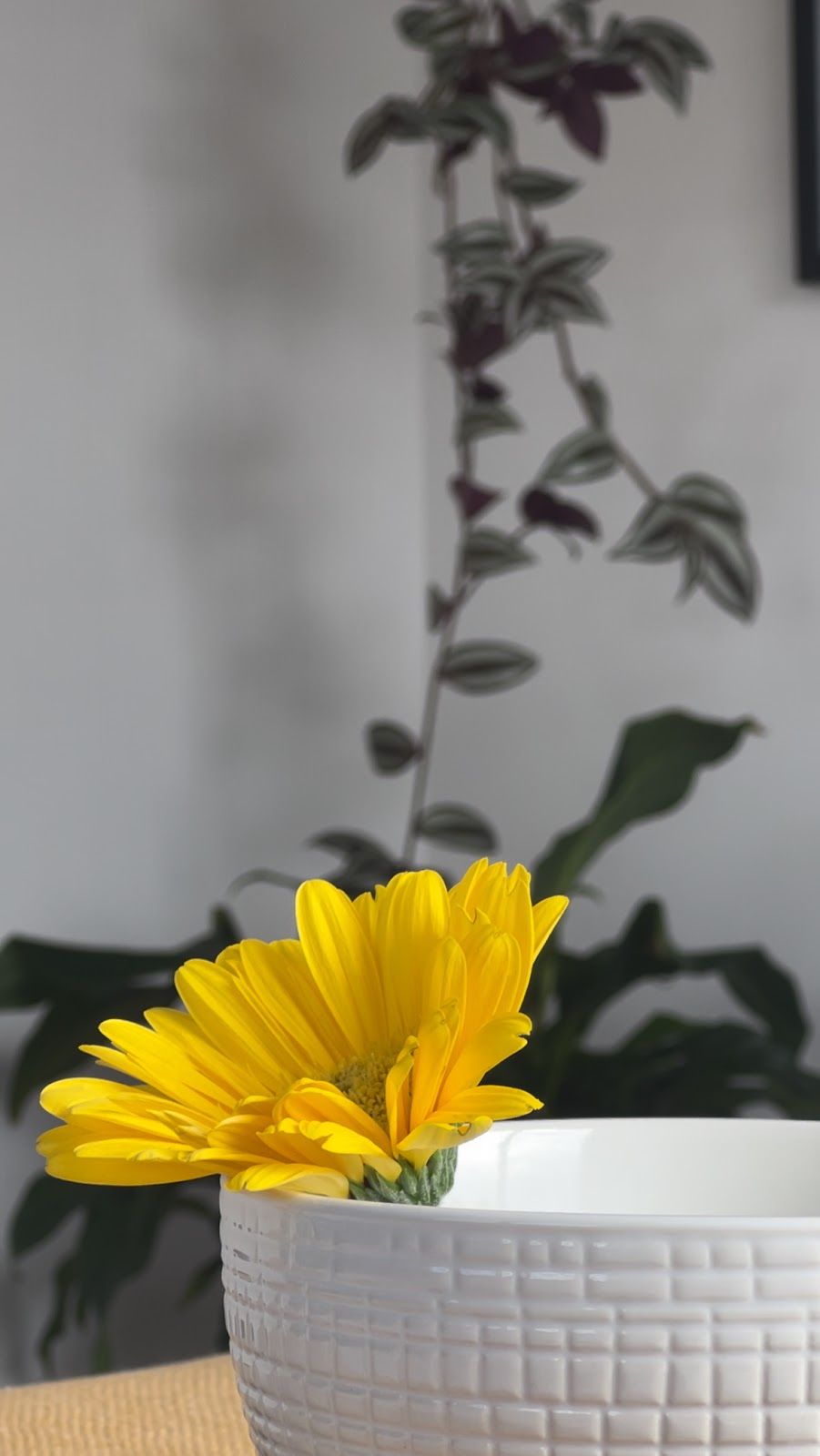 Dharma Bali Holistic Healing & Coaching | 15 Archie St, Jewells NSW 2280, Australia | Phone: 0435 803 929