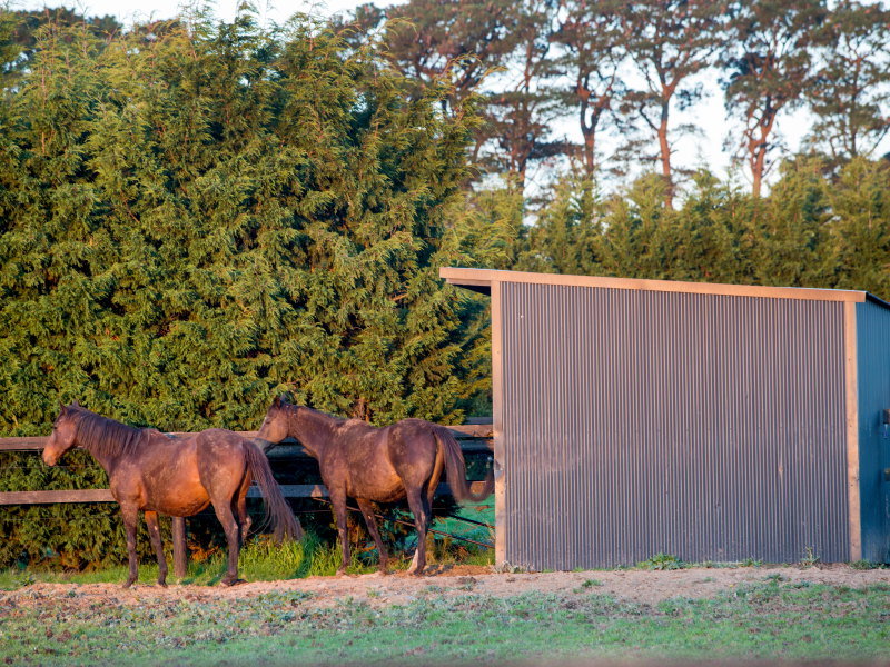 Peninsula Park Equestrian Centre | Peninsula Park Equestrian Centre, Eramosa Road West, Moorooduc VIC 3933, Australia | Phone: 0426 161 725