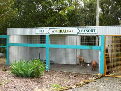 Shiralea Pet Resort and Miniature Pinschers |  | 109 Kingsley Rd, Allendale East SA 5291, Australia | 0417387287 OR +61 417 387 287