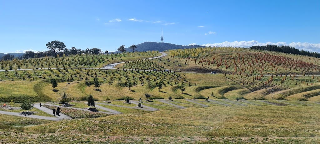 Pod Playground | Forest Dr, Molonglo Valley ACT 2611, Australia | Phone: (02) 6207 8484