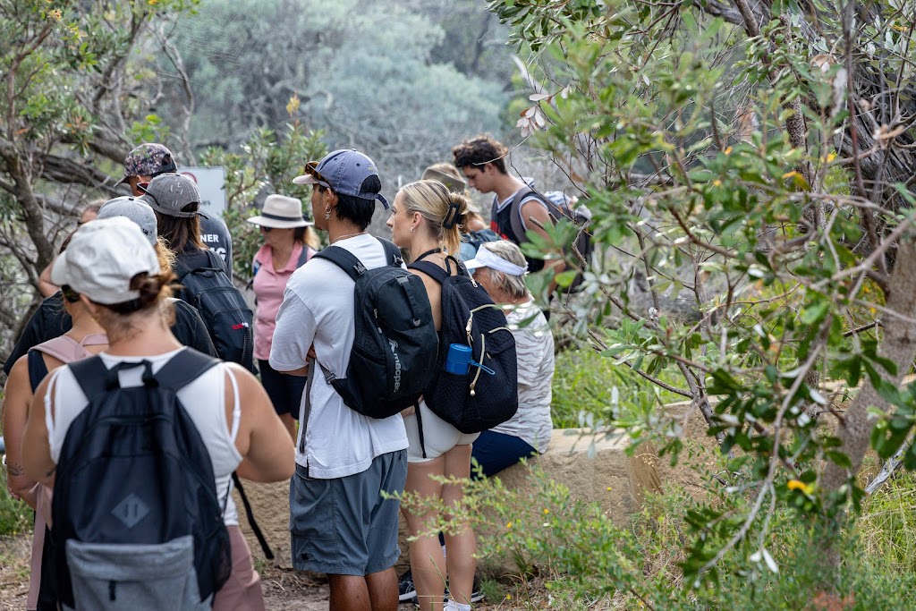 Wild Light Experiences | Shoal Bay Rd, Nelson Bay NSW 2315, Australia | Phone: 0411 697 202