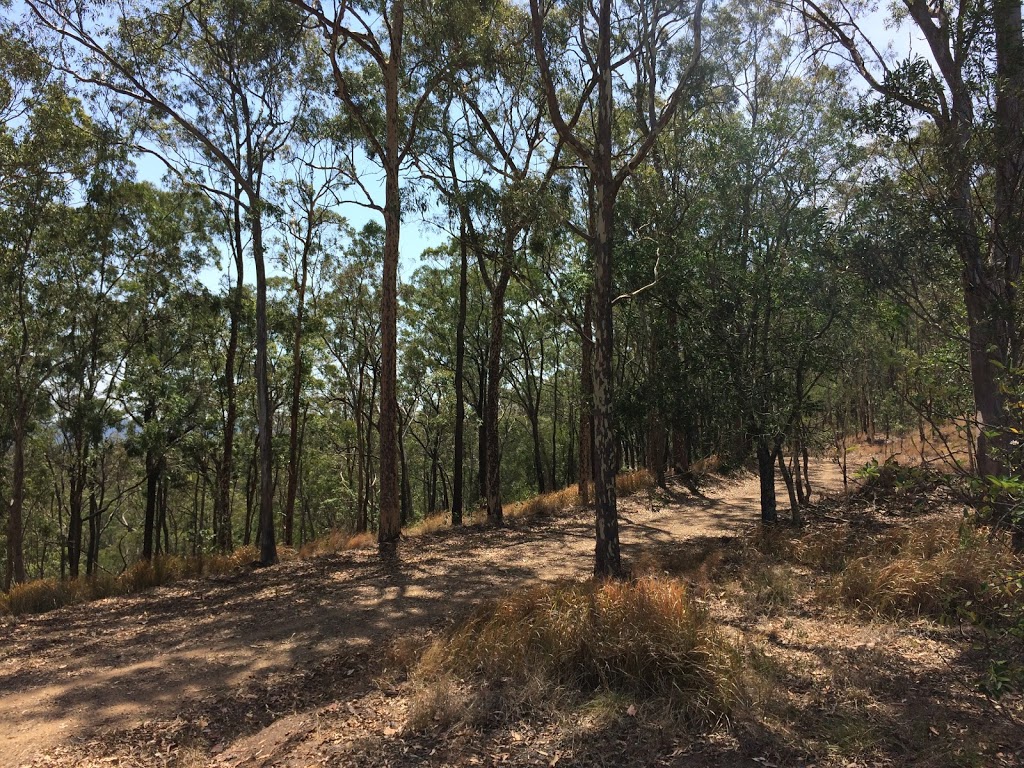 South Boundary Road Hiking Trail | park | S Boundary Rd, Enoggera Reservoir QLD 4520, Australia