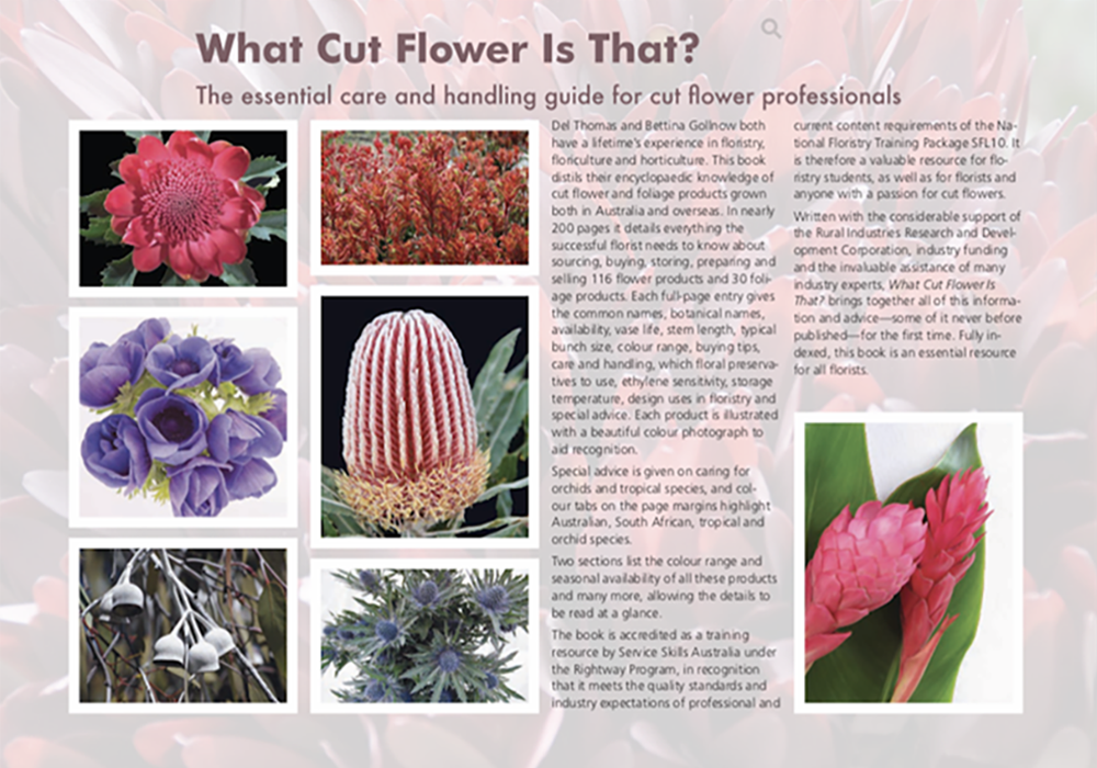 What Cut Flower is That? | 48 Nabiac St, Nabiac NSW 2312, Australia | Phone: 0414 678 840
