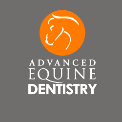 Advanced Equine Dentistry | 482 Galston Rd, Dural NSW 2158, Australia | Phone: 0418 598 621