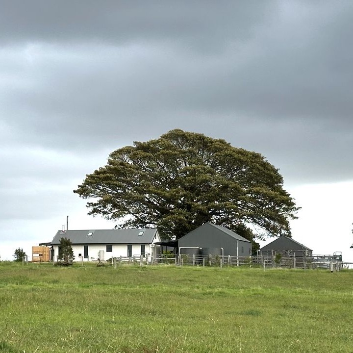 Figtree Cottage of Milton | 98 Little Frst Rd, Little Forest NSW 2538, Australia | Phone: 0414 313 157