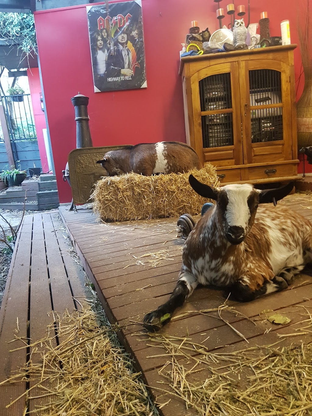 Oak Grove Gallery | 152 Inglis St, Ballan VIC 3342, Australia | Phone: 0410 629 933