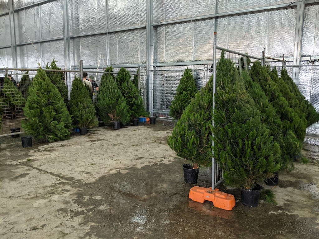 Dural Christmas Tree Farm |  | 879 Old Northern Rd, Dural NSW 2158, Australia | 0296511010 OR +61 2 9651 1010