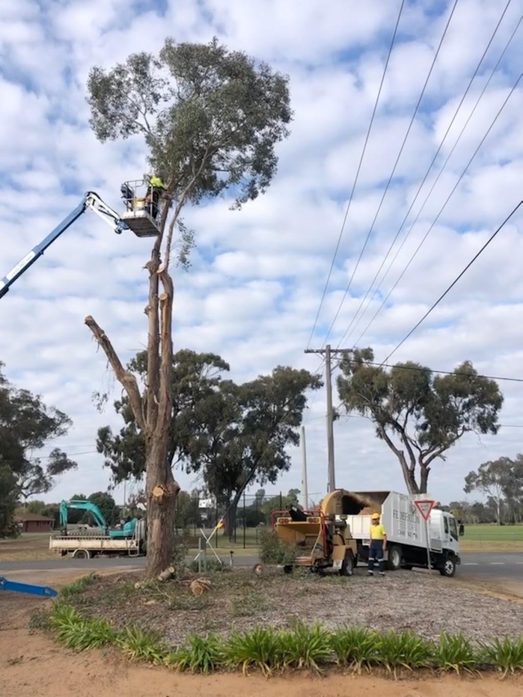 Federation Tree Care | 28 Banff St, Corowa NSW 2646, Australia | Phone: 0448 742 766