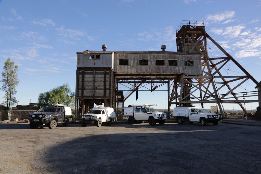 Broken Hill Pest Group | 333 Wyman St, Broken Hill NSW 2880, Australia | Phone: (08) 8088 3967