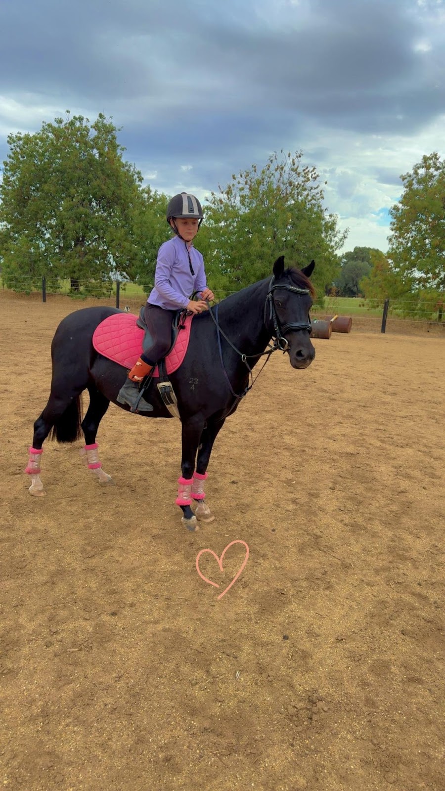 Devine Equine | 713 Graham Rd, Kyabram VIC 3620, Australia | Phone: 0428 939 638
