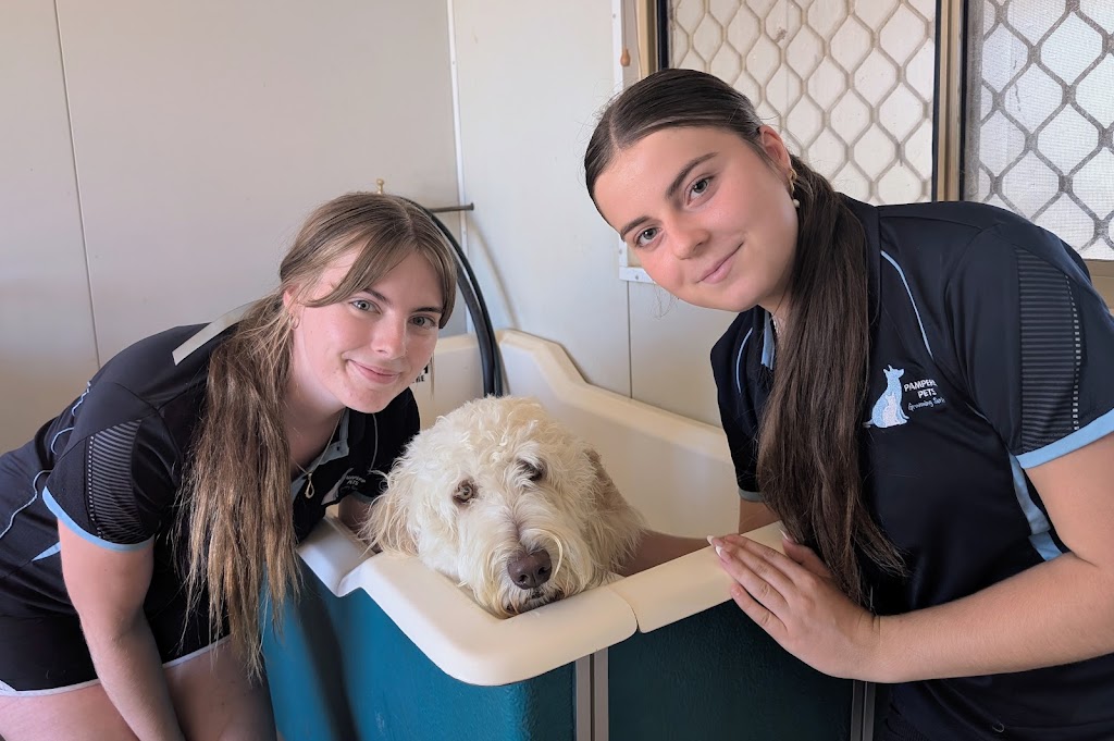 Pampered Pets Grooming Service | 240 Boulder Rd, South Kalgoorlie WA 6430, Australia | Phone: (08) 6010 0801