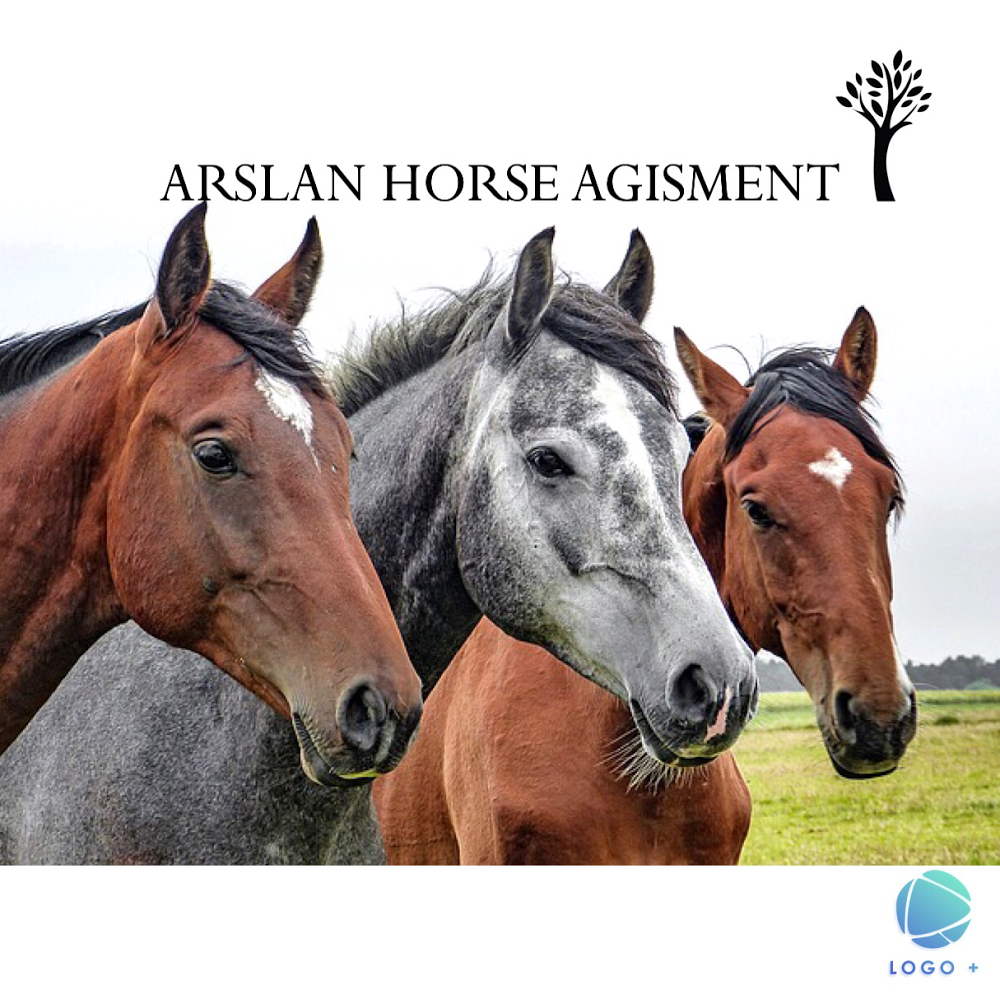 Arslans Horse Farm & Agistment |  | 98 Weelsby Park Dr, Cawdor NSW 2570, Australia | 0415822387 OR +61 415 822 387