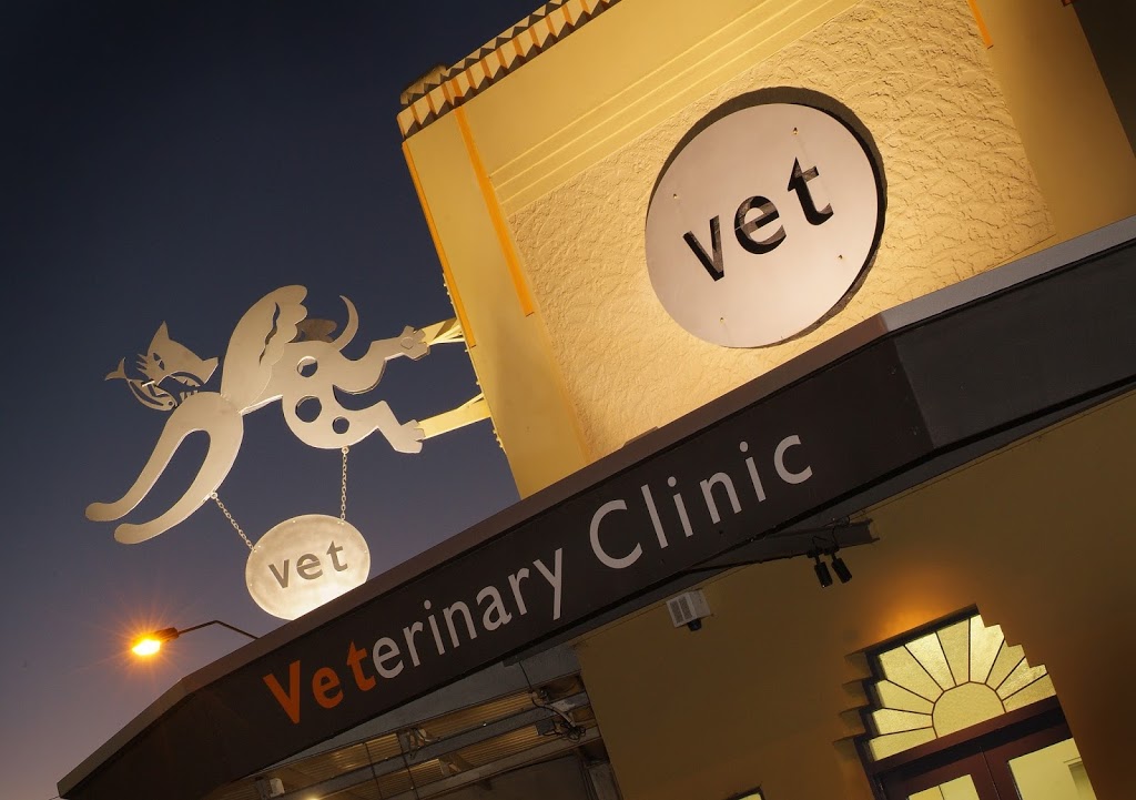 Stephen Terrace Veterinary Clinic | 45 Stephen Terrace, St Peters SA 5069, Australia | Phone: (08) 8362 6688