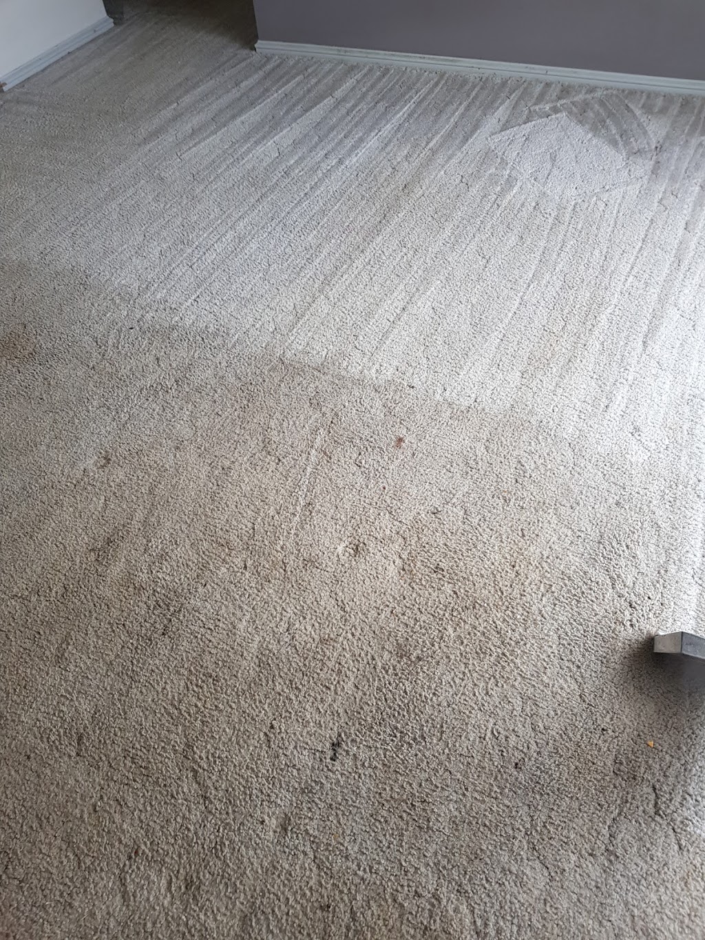 Clean Cut Carpet Cleaning | Unit 1/53 Slevin St, North Geelong VIC 3215, Australia | Phone: 0414 936 170