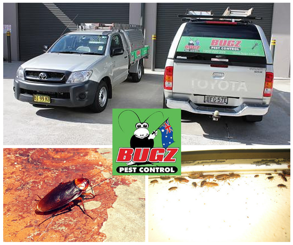 Bugz Pest Control | home goods store | 167 Belgrave Esplanade, Sylvania Waters NSW 2224, Australia | 1800020225 OR +61 1800 020 225
