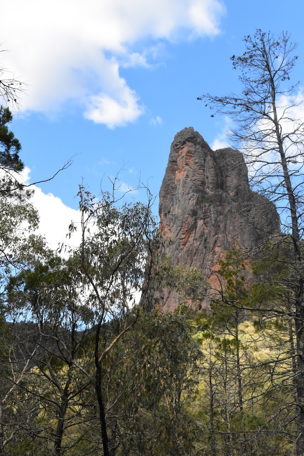 Breadknife and Grand High Tops walk | park | Pincham Rd, Warrumbungle NSW 2828, Australia | 0268254364 OR +61 2 6825 4364