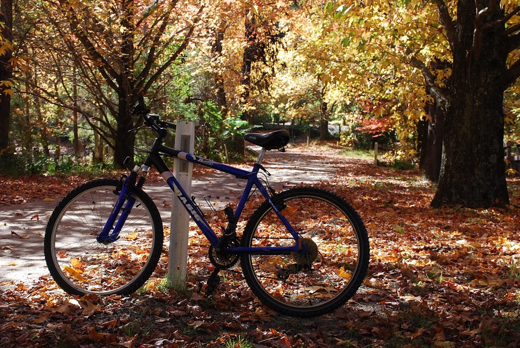 Wildside Sanctuary | 32 Bean Ln, Mountain Lagoon NSW 2758, Australia | Phone: (02) 4567 1074