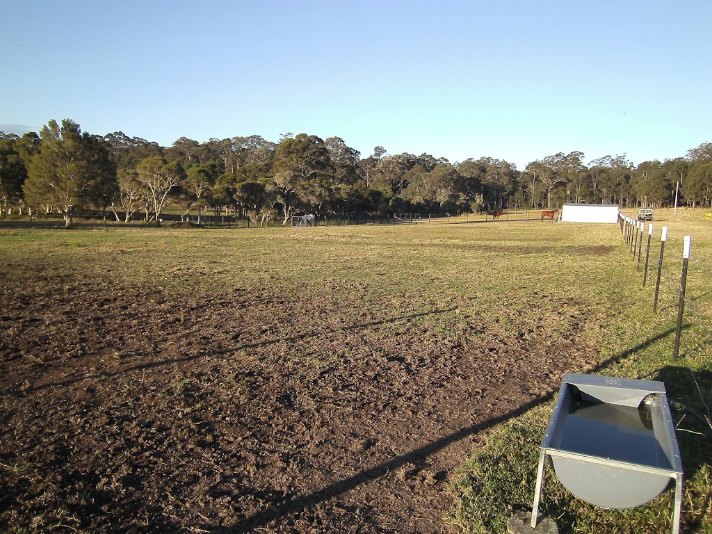 Lazy J Horse Agistment | D515 Princes Hwy, Comberton NSW 2540, Australia | Phone: 0415 404 202