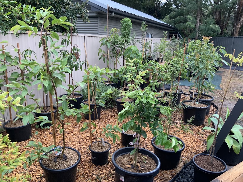 AWABAKAL NURSERY and Landscaping Services | 21 Mimosa Rd, Budgewoi NSW 2262, Australia | Phone: 0488 684 150