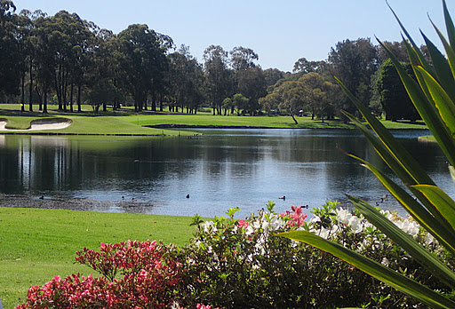 Liverpool Golf Club | Hollywood Dr, Lansvale NSW 2166, Australia | Phone: (02) 9728 7777