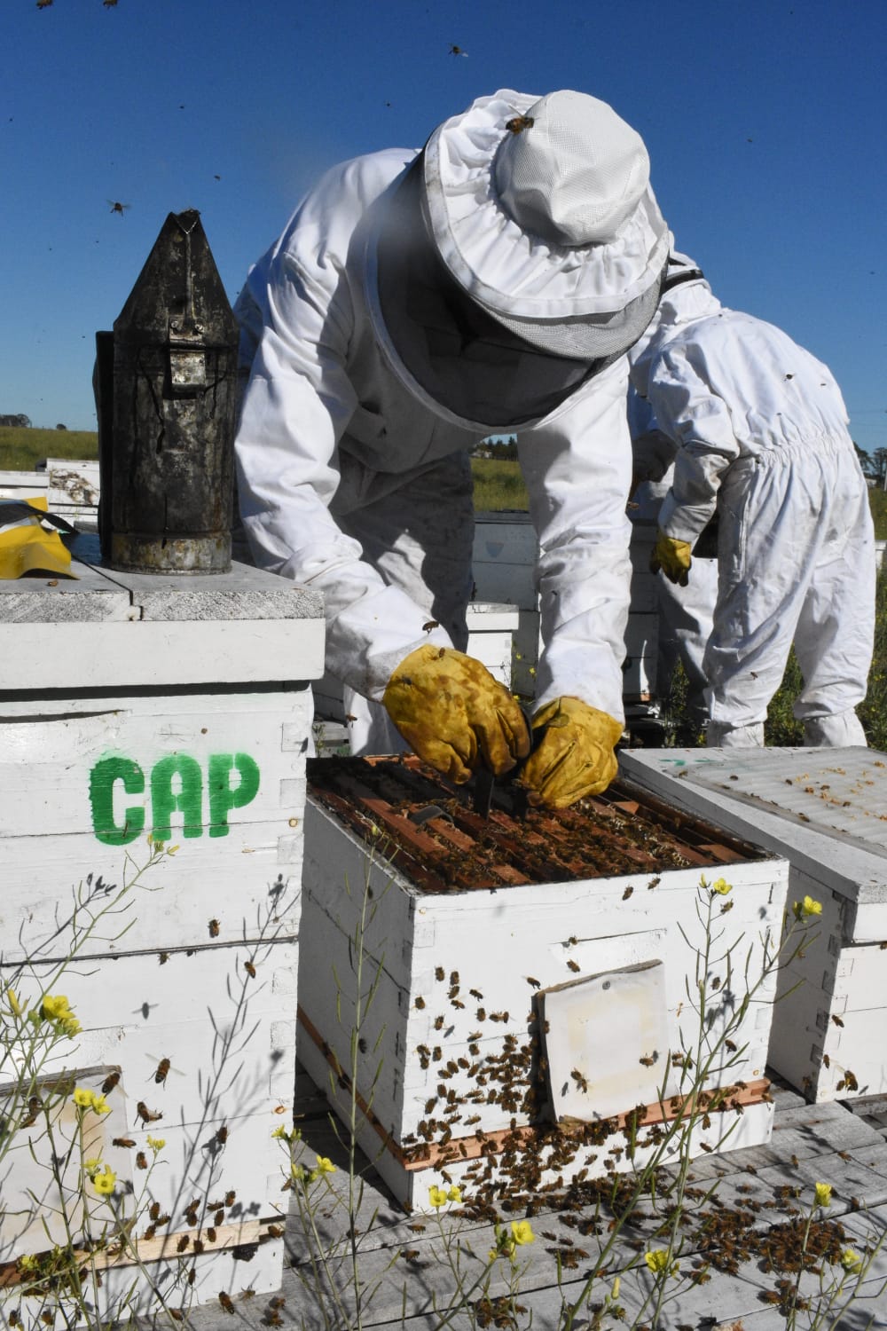 Aluen CAP Australia | 18B Industrial Ave, Mudgee NSW 2850, Australia | Phone: 1800 921 520