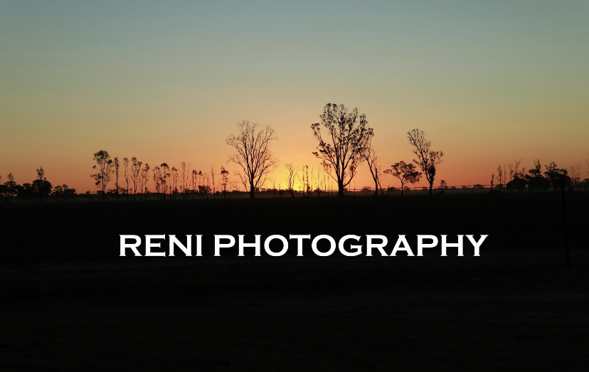Reni Photography | 83 Callaghan St, Epsom VIC 3551, Australia | Phone: 0480 209 786