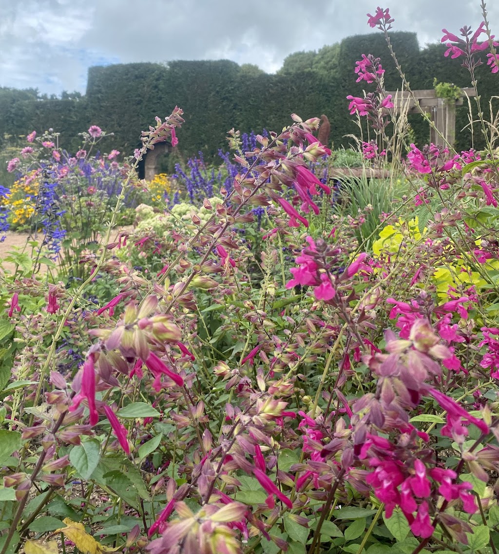 CMB Creative Gardens | 3 Mackeys Ln, Robertson NSW 2577, Australia | Phone: 0401 949 878