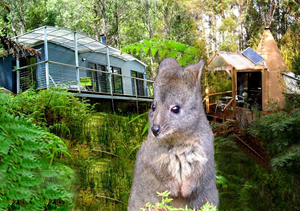 Huon Bush Retreats | park | 300 Browns Road, (Ranelagh), Huonville TAS 7109, Australia | 0362642233 OR +61 3 6264 2233