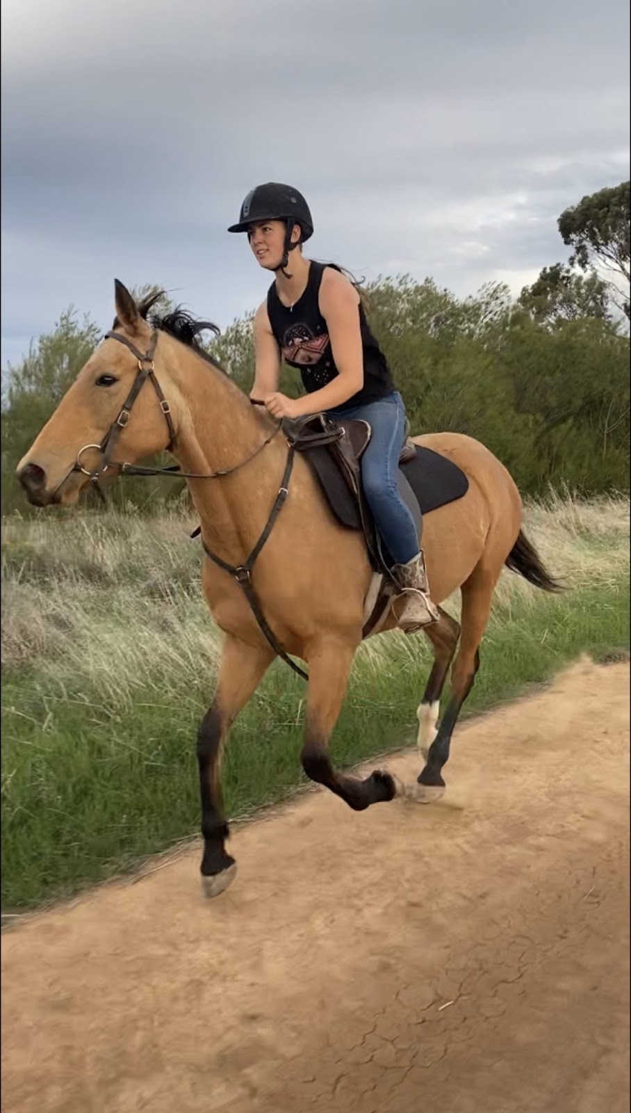 Intrinsic Equine | Everard Rd, Kyabram VIC 3620, Australia | Phone: 0447 431 584