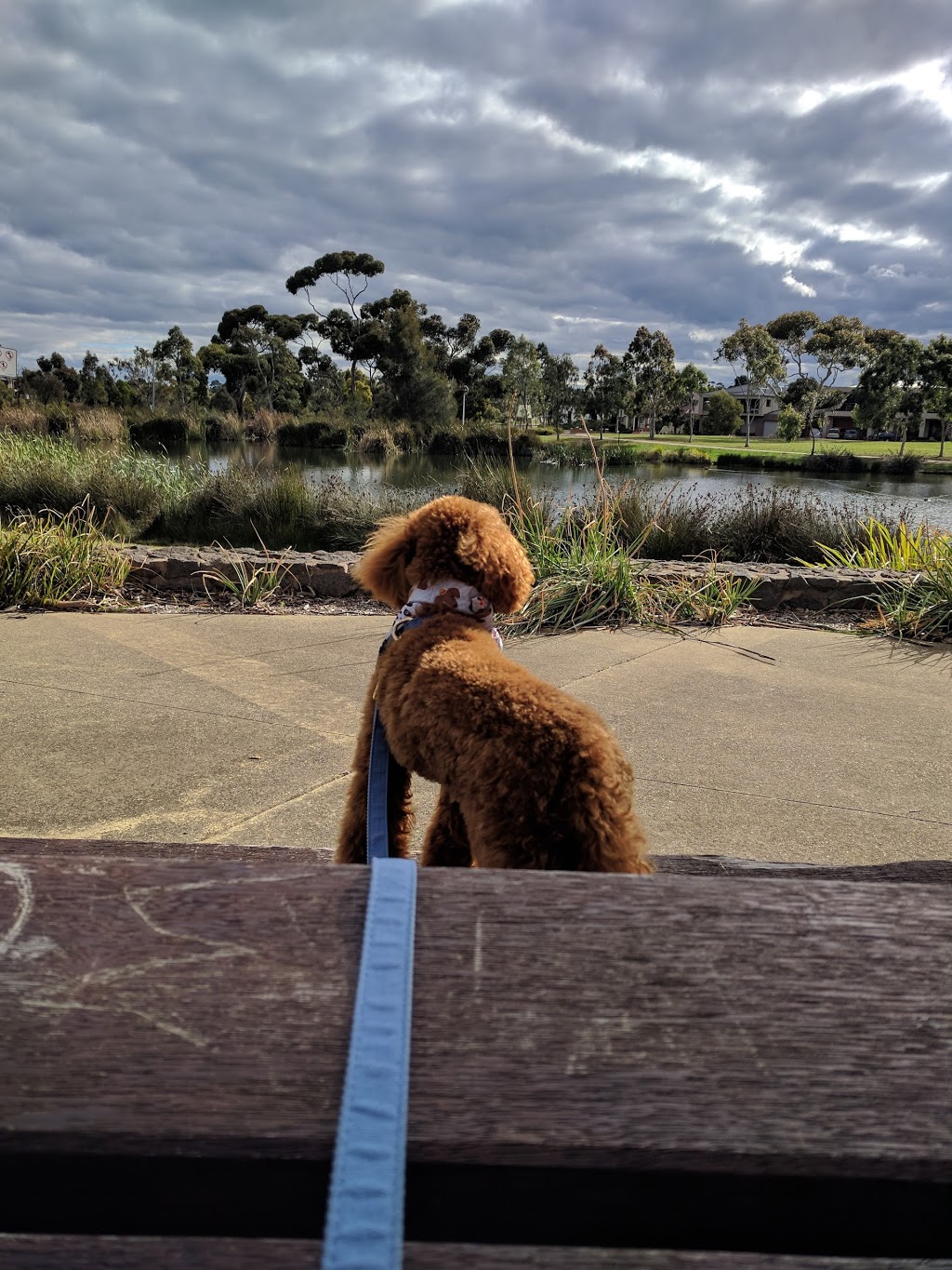 Waterfield Park | Cairnlea VIC 3023, Australia
