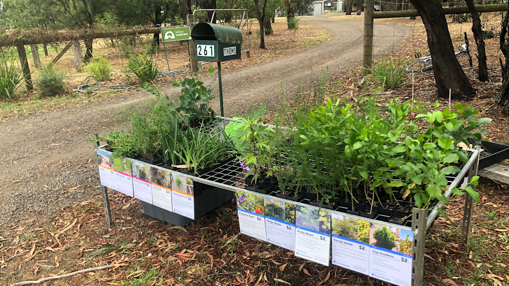 Nicks Natives: Indigenous plants of the Bellarine Peninsula | 261 Rhinds Rd, Wallington VIC 3222, Australia | Phone: 0447 250 066