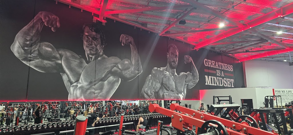 World Gym Wodonga | 6/4391 Anzac Parade, Wodonga VIC 3690, Australia | Phone: (02) 5024 5200